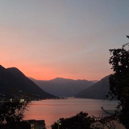 Milka Apartment Kotor Kültér fotó