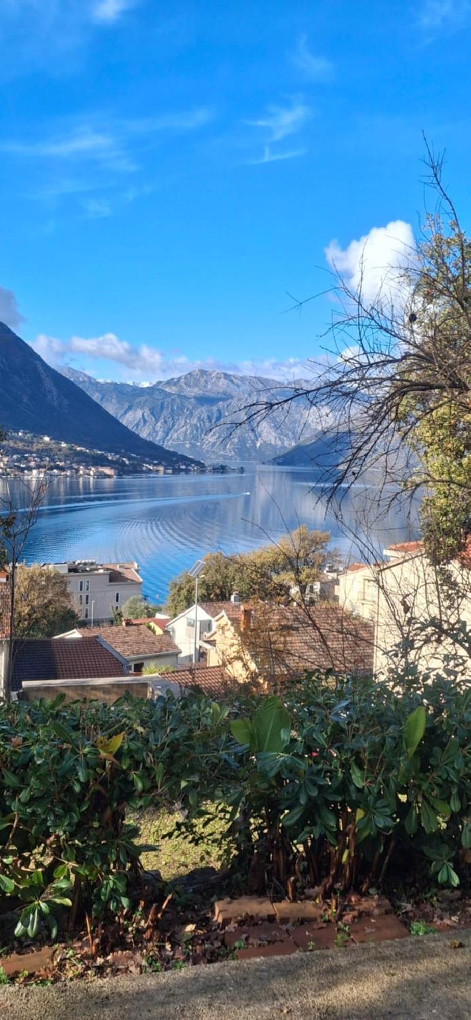 Milka Apartment Kotor Kültér fotó